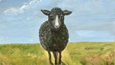 Auch die Tierwelt im Norden ist etwas ganz Besonderes.