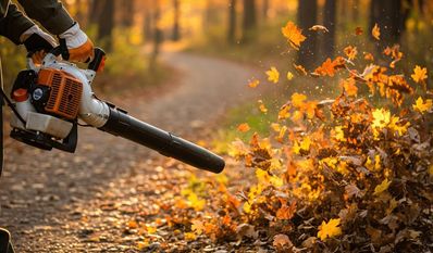 Laub - nicht wegpusten, sondern als Lebensraum nutzen.