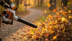 Laub - nicht wegpusten, sondern als Lebensraum nutzen.