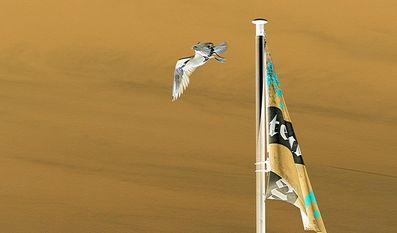 Wolfgang Pohl zeigt in seiner neuen Ausstellung in Schwanewede 30 verschiedene Motive.