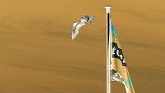 Wolfgang Pohl zeigt in seiner neuen Ausstellung in Schwanewede 30 verschiedene Motive.