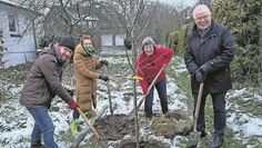 (v.l.) Frieder Lüße von der Stadt, Beate Liebe und Anne Deutsch von der SPD-Fraktion der Frauen und Wilfried Kalski vom Förderverein Lions Club e.V. sind fleißig dabei, den Baum einzupflanzen.