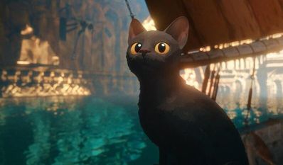 Katze mit Katzenproblemen bei Hochwasser: Fressen finden, nicht gefressen werden, Unterschlupf suchen.