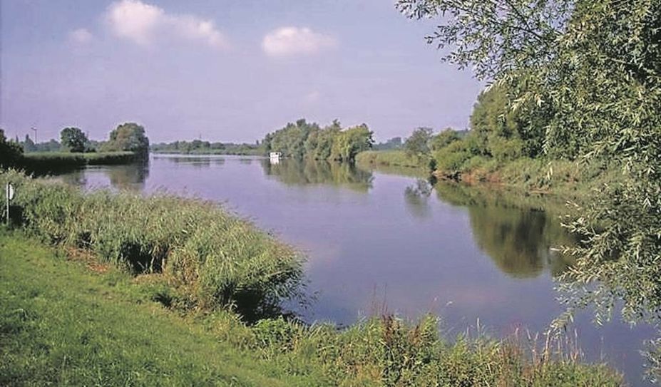 Starke Regenfälle und Sauerstoffmangel im Wasser werden als Ursache für das starke Fischsterben vermutet. Foto: Wikimedia Commons/CWitte