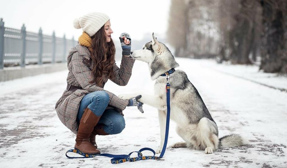 Damit auch er den Winter genießen kann, sollten streuverantwortliche Anlieger nicht mehr Streumittel einsetzen als notwendig.