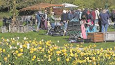 Bad Zwischenahn (eb). Der große Pflanzen- und Gartenflohmarkt „PflanzenWELTEN im Park“ ist eine der beliebtesten Veranstaltungen im Park der Gärten. Am Mittwoch, 1. Mai, von 9.30 bis 18 Uhr können Pflanzenenthusiasten und Schnäppchenjäger:innen stöbern und dabei einen Spaziergang durch das frische Grün machen. Neben den vielen Ausstellenden warten auch wieder viele DIY-Aktionen, wie Frühlingsschmuck basteln, auf die Besucher:innen. Die Gäste werden gebeten, eigene Beutel, Rucksäcke oder Taschen für die Pflanzen mitzubringen. Weitere Informationen gibt es unter park-der-gaerten.de.