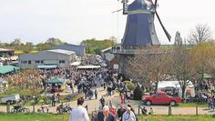 Aschwarden (eb). Die Mühlenfreunde Aschwarden e. V. laden am Mittwoch, 1. Mai, von 10.30 bis 17 Uhr zum 34. Aschwardener Mühlenfest auf dem Mühlengelände ein. Vor dem historischen Gebäude von 1851 werden zahlreiche Kunsthandwerker:innen ihre Waren präsentieren. Regionale Erzeuger:innen bieten ihre Gemüse- und Blumenpflanzen, hausgemachte Wurstwaren sowie Honig und Käse an. Um 11 Uhr wird die Veranstaltung von den Jagdhornbläsern eröffnet. Anschließend präsentiert der Rekumer Schifferchor Lieder von der Waterkant und Fernweh. Für die kleinen Besucher:innen gibt es Hüpfburgen. Während des Festes kann die Mühle besichtigt werden. Der gesamte Erlös wird für den Erhalt der Mühle verwendet.