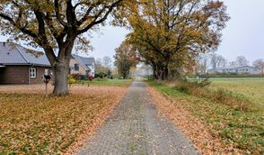 Freude bei den Anliegern „Am Holunderweg“. Im nächsten Jahr soll eine Straßenbeleuchtung Licht in die Dunkelheit bringen.