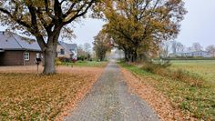 Freude bei den Anliegern „Am Holunderweg“. Im nächsten Jahr soll eine Straßenbeleuchtung Licht in die Dunkelheit bringen.