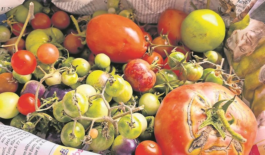 Besonders Obst und Gemüse landen häufig im Müll, dabei kann mit wenigen Tipps viel gegen die Verschwendung getan werden.