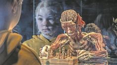 Besucher:innen bekommen einmalige Einblicke in die menschliche Anatomie.
