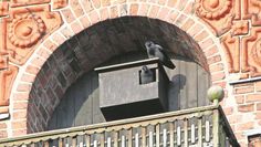 Vögel wie Dohlen nisten sich besonders gerne in entsprechenden Plätzen an Kirchen ein.