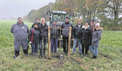 Die Hochzeitsallee in Abbenseth wächst jedes Jahr ein Stückchen weiter.