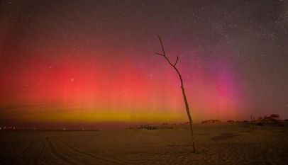 Polarlichter auf Borkum: Diese seltene Beobachtung konnte Andrea Stittig-Kramer auf ihrer letzten Reise machen. Jetzt berichtet sie bei einem AVL-Vortrag darüber.