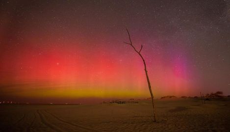 Polarlichter auf Borkum: Diese seltene Beobachtung konnte Andrea Stittig-Kramer auf ihrer letzten Reise machen. Jetzt berichtet sie bei einem AVL-Vortrag darüber.