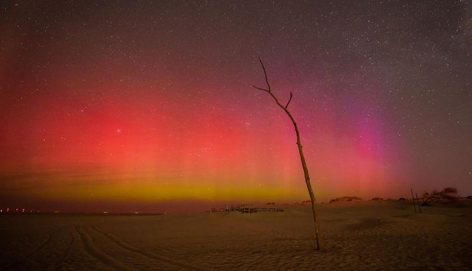 Polarlichter auf Borkum: Diese seltene Beobachtung konnte Andrea Stittig-Kramer auf ihrer letzten Reise machen. Jetzt berichtet sie bei einem AVL-Vortrag darüber.