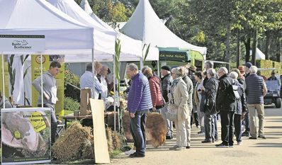 Viele regionale Lebensmittelhersteller:innen präsentieren ihre Produkte.