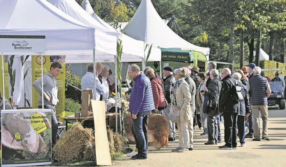 Viele regionale Lebensmittelhersteller:innen präsentieren ihre Produkte.