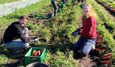 Der Gärtnerhof in Oldendorf bietet nachhaltige Produkte aus der Region an. Wer sich für die Erzeugnisse aus der Solidarischen Landwirtschaft interessiert, sollte die nächste Bieterrunde nicht verpassen.