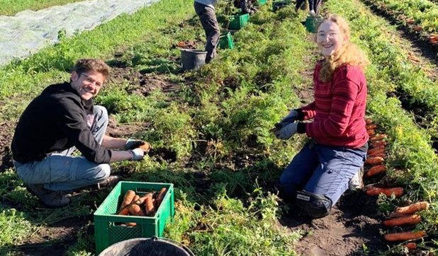 Der Gärtnerhof in Oldendorf bietet nachhaltige Produkte aus der Region an. Wer sich für die Erzeugnisse aus der Solidarischen Landwirtschaft interessiert, sollte die nächste Bieterrunde nicht verpassen.