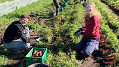 Der Gärtnerhof in Oldendorf bietet nachhaltige Produkte aus der Region an. Wer sich für die Erzeugnisse aus der Solidarischen Landwirtschaft interessiert, sollte die nächste Bieterrunde nicht verpassen.