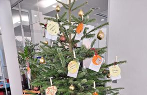 In diesem Jahr werden in Lilienthal keine Weihnachtsbäume mit Sterntalern aufgestellt.