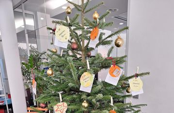 In diesem Jahr werden in Lilienthal keine Weihnachtsbäume mit Sterntalern aufgestellt.