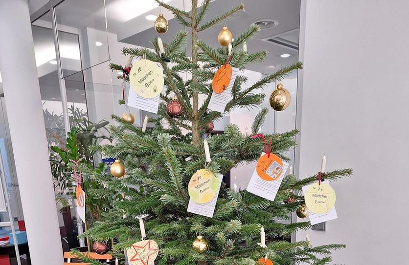 In diesem Jahr werden in Lilienthal keine Weihnachtsbäume mit Sterntalern aufgestellt.