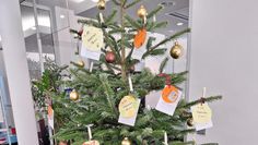 In diesem Jahr werden in Lilienthal keine Weihnachtsbäume mit Sterntalern aufgestellt.