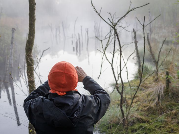 Fotoexkursion im Hochmoor.