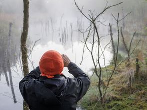 Fotoexkursion im Hochmoor.