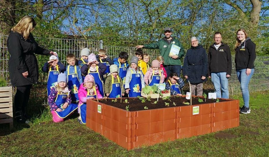 Die Kinder der DRK-Kindertagesstätte können schon bald ihr angepflanztes Gemüse ernten.