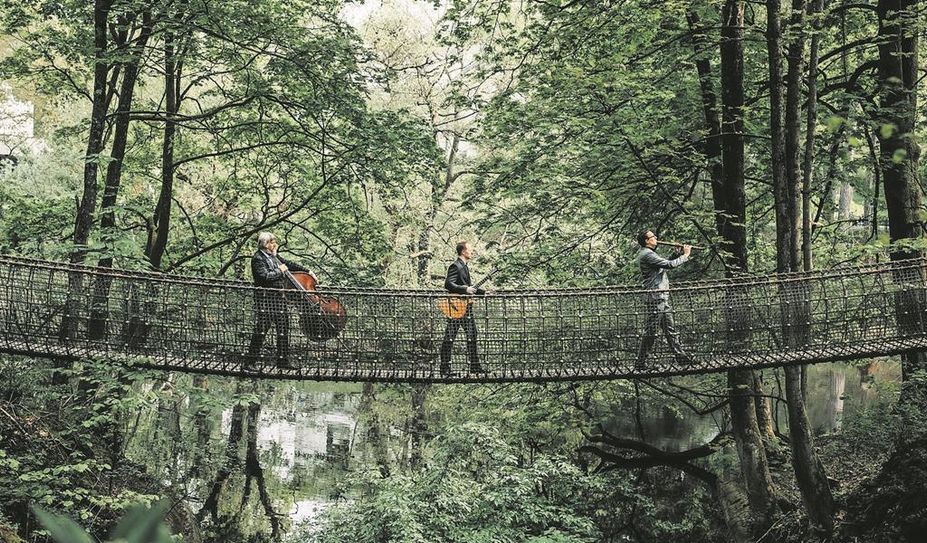 Angefangen als Straßenmusiker, sind „Wildes Holz“ mittlerweile aus der deutschen Musikszene nicht mehr wegzudenken.