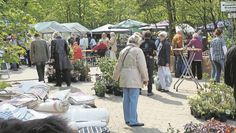 Auf dem Markt gibt es neben leckerem Essen und Trinken auch viel zum Staunen und Stöbern.