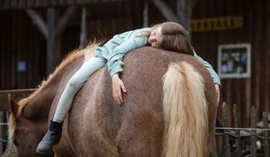 Die Nähe eines Tieres kann in vielen Bereichen hilfreich sein.