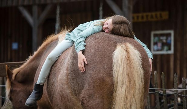 Die Nähe eines Tieres kann in vielen Bereichen hilfreich sein.