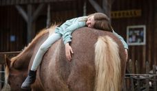 Die Nähe eines Tieres kann in vielen Bereichen hilfreich sein.