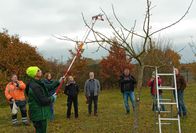 Torsten Brunkhorst zeigt, worauf es bei der Teleskopschere ankommt.