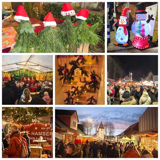 Ein Baum der Platz für viele Geschenke bietet.