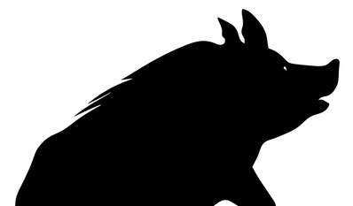 Seit letztem Jahr findet am Wildgehege bei der Sauhütte ein Frühjahrsmarkt statt.