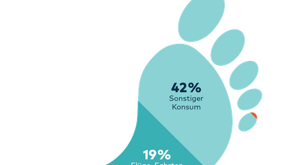 Der durchschnittliche Co2-Fußabdruck einer Person in Deutschland. Druckerzeugnisse nehmen weniger als 1 Prozent (der rote Fußnagel des kleines Zehs) ein.