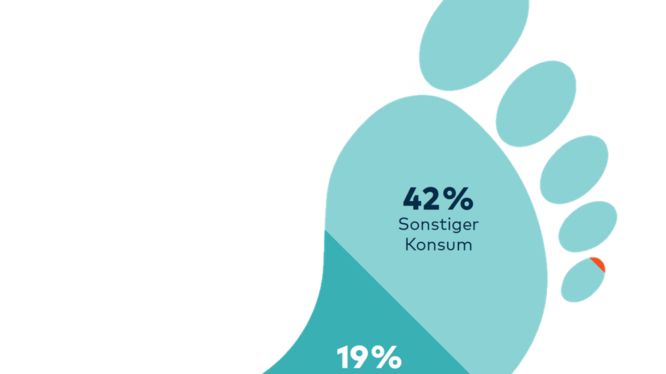 Der durchschnittliche Co2-Fußabdruck einer Person in Deutschland. Druckerzeugnisse nehmen weniger als 1 Prozent (der rote Fußnagel des kleines Zehs) ein.