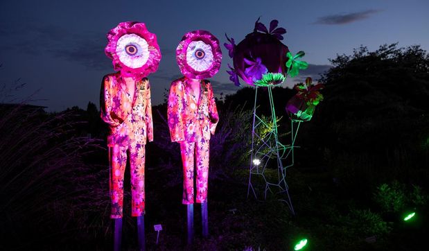 Die Illumination ist ein atmosphärisches Gesamterlebnis, das Natur, Licht und Kunst auf besondere Weise vereint.