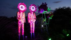 Die Illumination ist ein atmosphärisches Gesamterlebnis, das Natur, Licht und Kunst auf besondere Weise vereint.