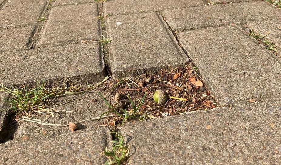 Abgesackte Pflastersteine können - gerade für ältere -Fußgänger schnell zu einer gefährlichen Stolperfalle werden.