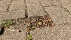 Abgesackte Pflastersteine können - gerade für ältere -Fußgänger schnell zu einer gefährlichen Stolperfalle werden.