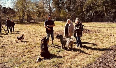 Die neue Hundewiese bietet ausreichend Platz zum Toben und Spielen.