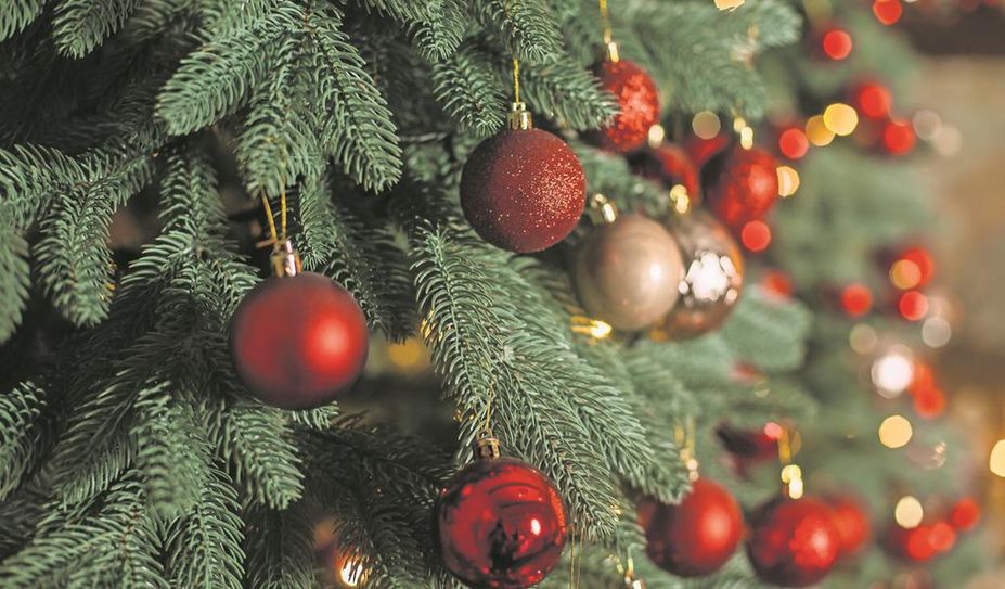 Ein Weihnachtsbaum sorgt im eigenen Zuhause für die richtige Weihnachtsstimmung.