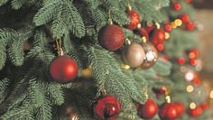 Ein Weihnachtsbaum sorgt im eigenen Zuhause für die richtige Weihnachtsstimmung.