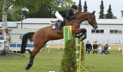 Eine Reiterin beim Sprung über eine Hürde.
